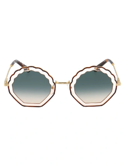 Shop Chloé Sunglasses In Havana Rose