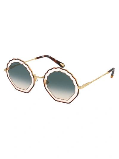 Shop Chloé Sunglasses In Havana Rose