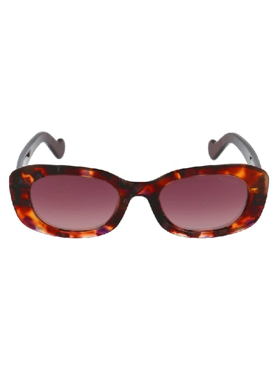 Shop Moncler Sunglasses In T Purple Havana