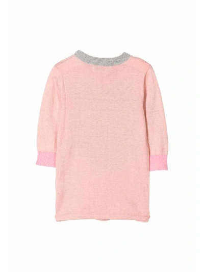 Shop Stella Mccartney Sweater Dress Style With Embroidery In Peonia