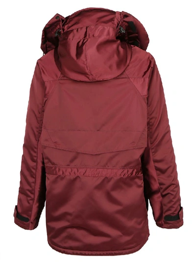 Shop Balenciaga Parka Coat In Margeaux