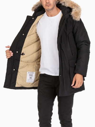 Shop Woolrich Arctic Parka Df In Black