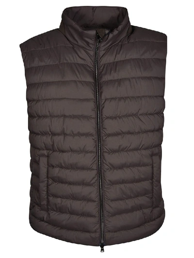 Shop Herno Vest In Brown