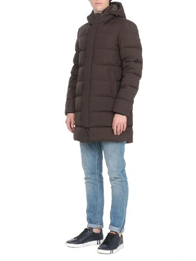 Shop Herno Quilted Down Jacket In Chocolate
