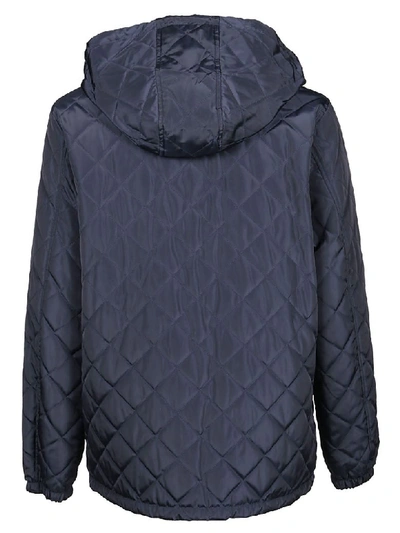 Shop Kenzo Parka Reversibile In Bleu Marine