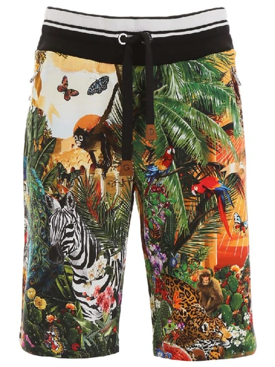 Shop Dolce & Gabbana Tropical King Bermuda Shorts In Giardino 2 F Multico (red)
