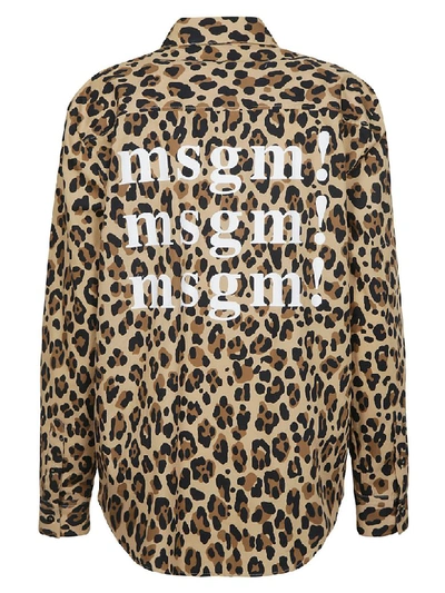 Shop Msgm Leopard Print Shirt In Multicolor