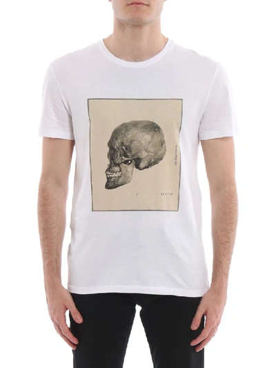 Shop Alexander Mcqueen Study Skull Tshirt In White/mix