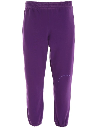 Shop Martine Rose Slim Joggers In Purple (purple)