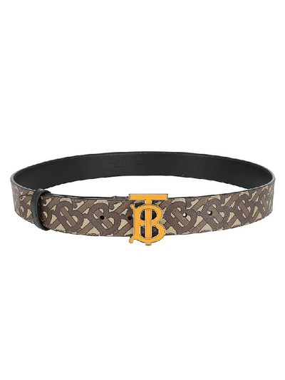 Shop Burberry Belt In Bridle Brown