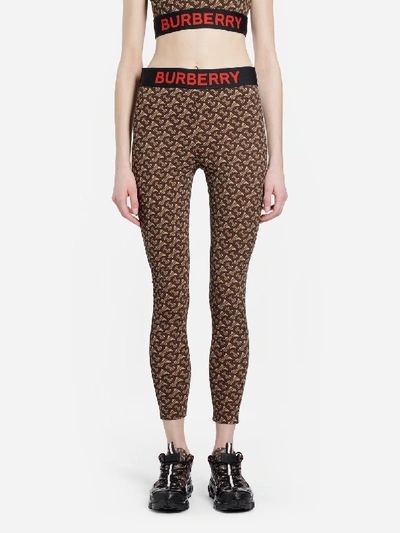 Shop Burberry Leggings In Brown