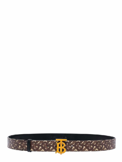 Shop Burberry Belt In Brown