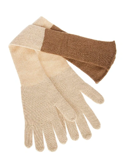 Shop Agnona Ribbed Gloves In Brown