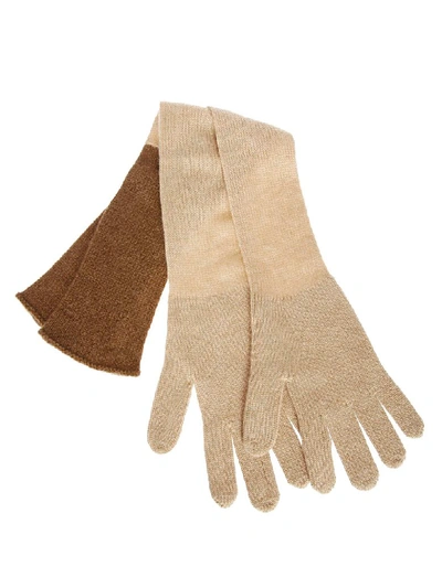 Shop Agnona Ribbed Gloves In Brown