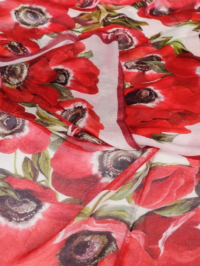 Shop Dolce & Gabbana Floral Scarf In Multicolor