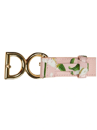 Shop Dolce & Gabbana Logo Belt In Rosa