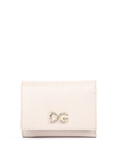 Shop Dolce & Gabbana Pink Leather Wallet With Logo Plaque