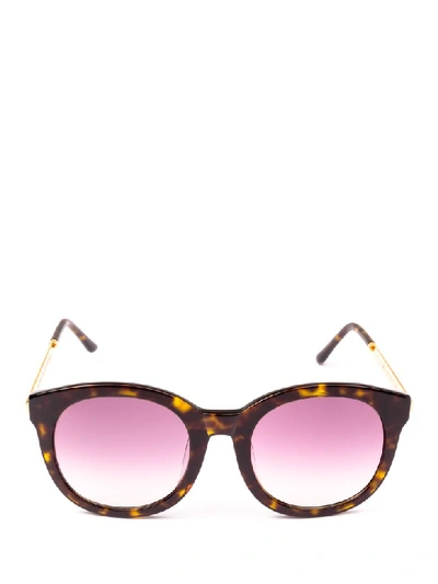 Shop Spektre Sunglasses In Iso2a