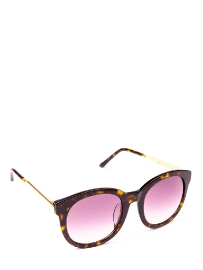 Shop Spektre Sunglasses In Iso2a