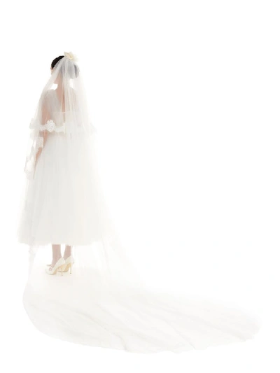 Shop Dolce & Gabbana Bride Veil In White