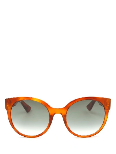 Shop Gucci Sunglasses In 012
