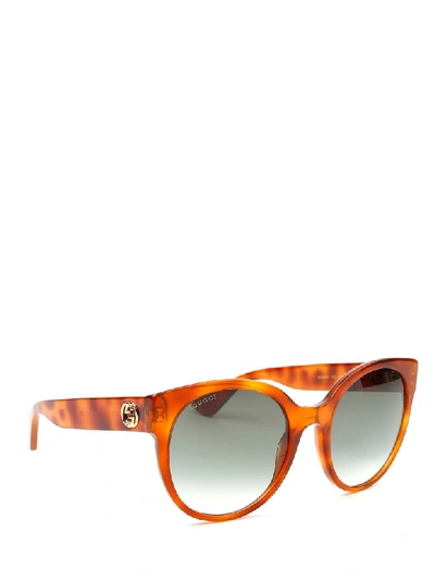 Shop Gucci Sunglasses In 012