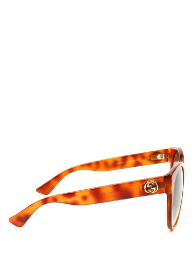 Shop Gucci Sunglasses In 012