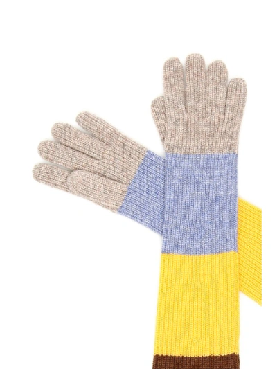 Shop Ganni Multicolor Striped Gloves In Chicory Coffee (yellow)