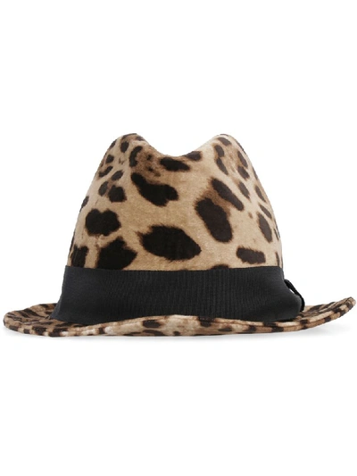 Shop Dolce & Gabbana Leopard Print Fedora In Multicolor