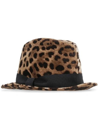 Shop Dolce & Gabbana Leopard Print Fedora In Multicolor