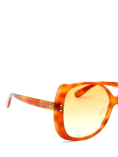 Shop Gucci Sunglasses In 003