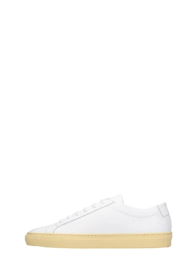 Shop Common Projects Achilles Low Sneakers In White Leather