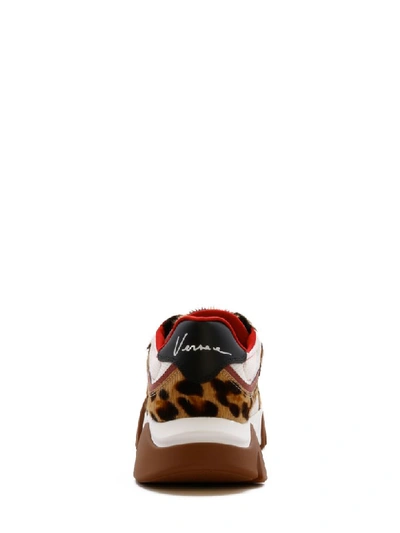 Shop Versace Sneaker Shark Leo In Brown
