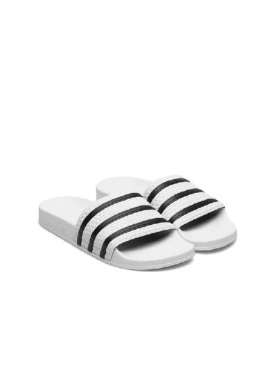 Shop Adidas Originals Adilette In White