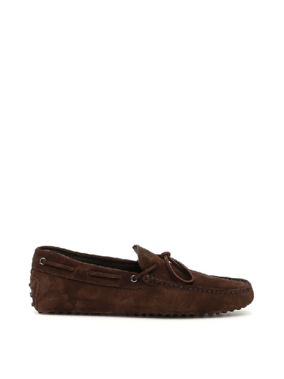 Shop Tod's New Laccetto Gommino Loafers In Testa Moro (brown)