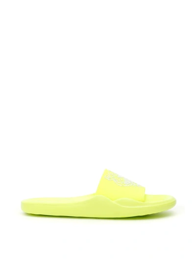 Shop Kenzo Tiger Slides In Citron (yellow)