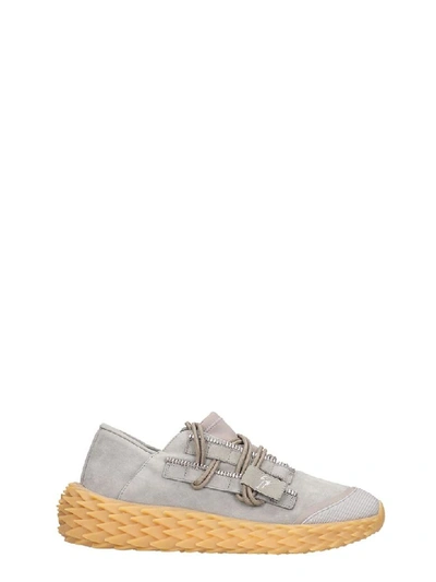 Shop Giuseppe Zanotti Urchin Sneakers In Grey Suede