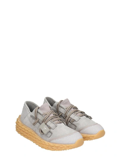 Shop Giuseppe Zanotti Urchin Sneakers In Grey Suede