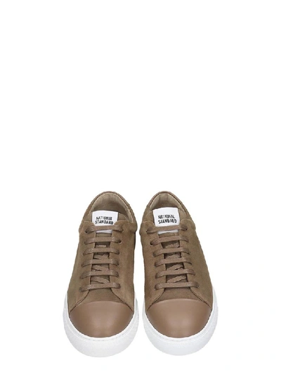 Shop National Standard Sneakers In Taupe Suede
