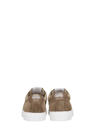 Shop National Standard Sneakers In Taupe Suede