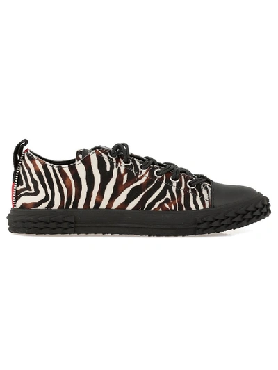 Shop Giuseppe Zanotti Blabber Sneaker In Zebra