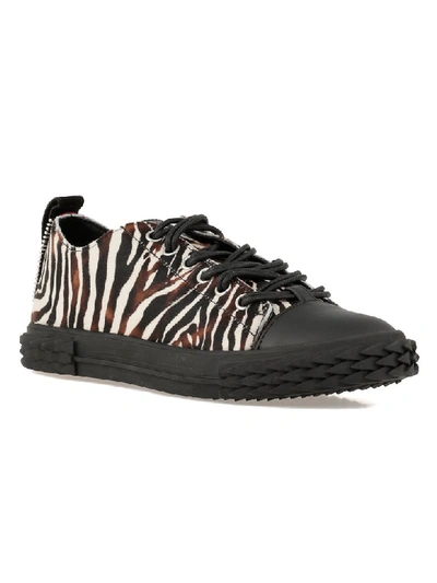 Shop Giuseppe Zanotti Blabber Sneaker In Zebra