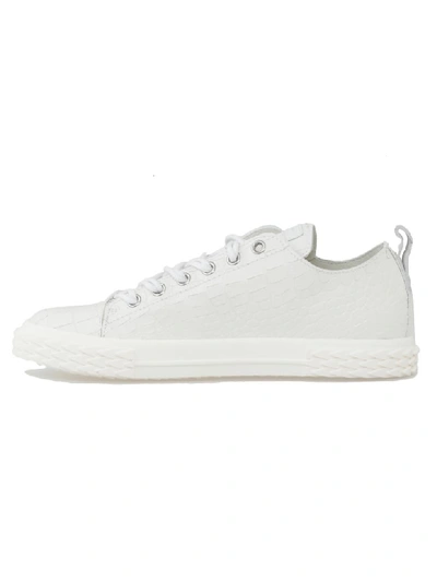 Shop Giuseppe Zanotti Blabber Sneaker In White
