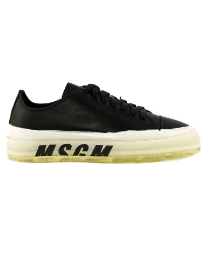 Shop Msgm Black Leather Printed Logo Sneakers In Nero