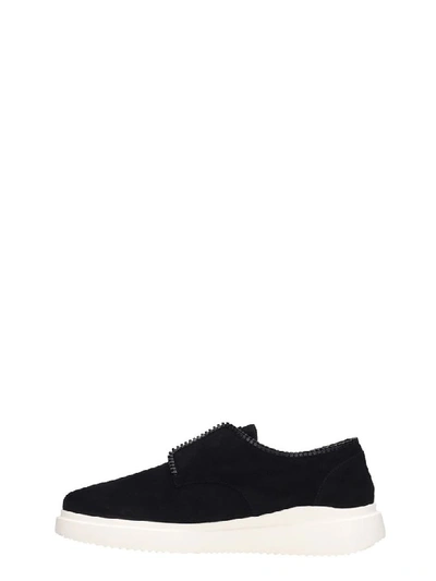 Shop Giuseppe Zanotti Basil Sneakers In Black Suede