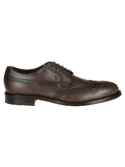 Shop Tod's Classic Brogue Shoes In Cacao