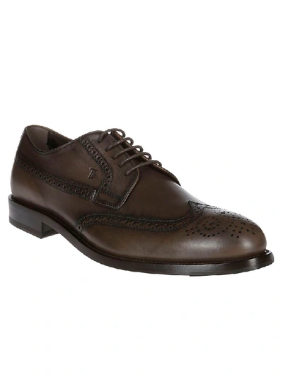 Shop Tod's Classic Brogue Shoes In Cacao