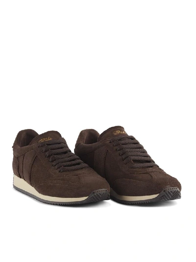 Fabi Sneakers In Cioccolato