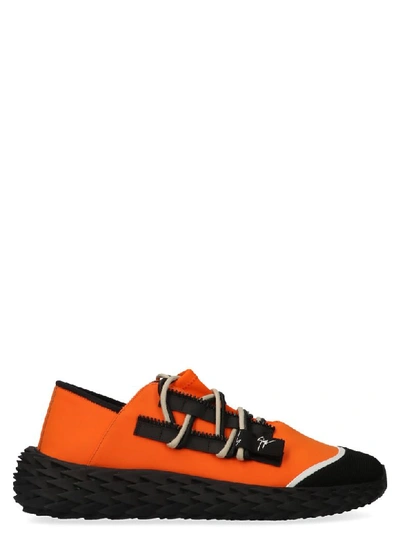 Shop Giuseppe Zanotti Urchin Shoes In Orange