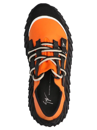 Shop Giuseppe Zanotti Urchin Shoes In Orange